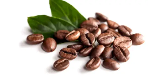 Crème glacée café